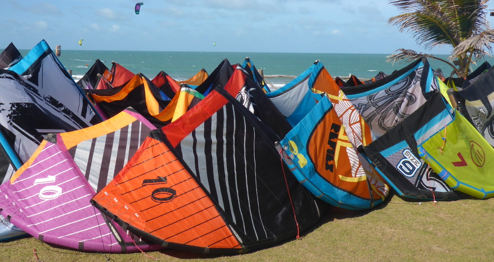 Kites on holiday
